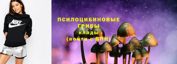 кокс Бородино