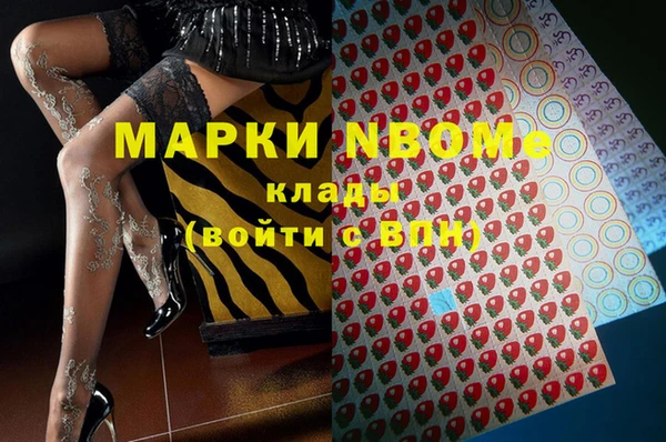 PSILOCYBIN Губаха