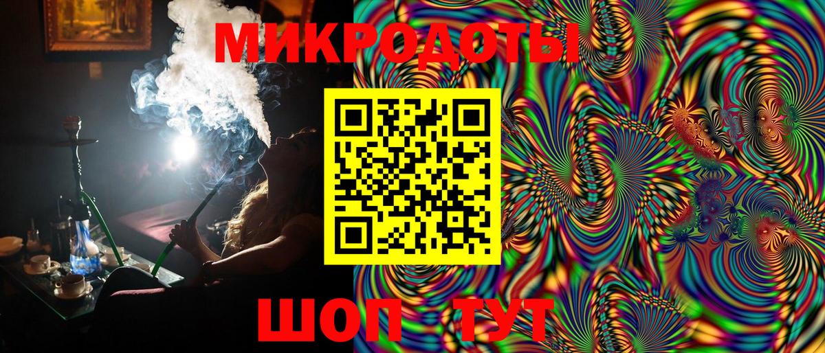 Псилоцибиновые грибы Psilocybe Гулькевичи