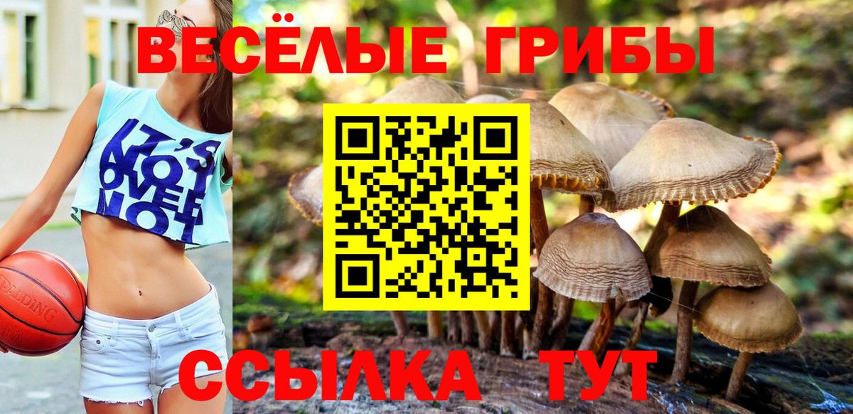 где можно купить наркотик  Вход с VPN  Гулькевичи  Галлюциногенные грибы прущие грибы 